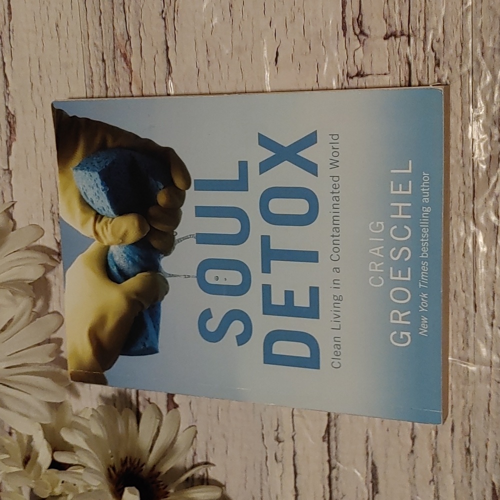 Soul Detox by Craig Groeschel adult non-fiction book